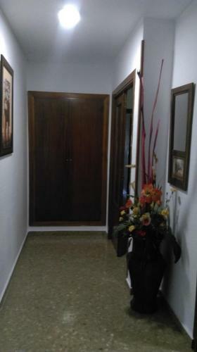 Apartamento Piso Muy Amplio En M�laga .