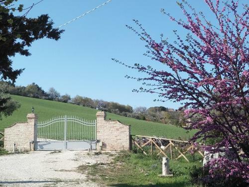Apartamento Poggio Delle Lavande