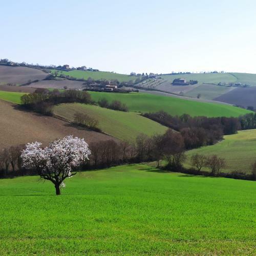 Apartamento Poggio Delle Lavande