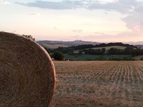 Apartamento Poggio Delle Lavande