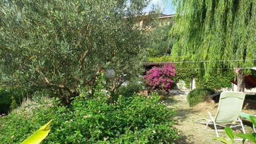 Tre Cammelli In Collina