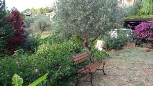 Tre Cammelli In Collina
