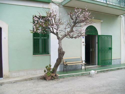 Apartamento Greenpark