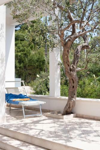 Apartamento Casa Pedone