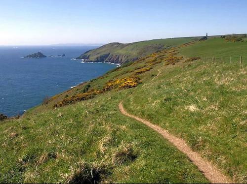 South Devon Wild Camping