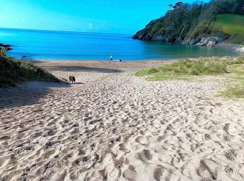 South Devon Wild Camping