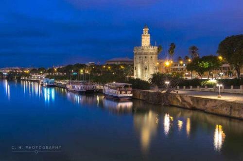 Apartamento Sevilla Santa Cruz