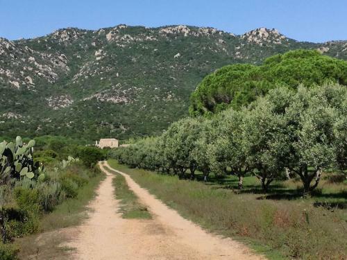 Lananai, Eco-ospitalit�