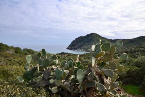 Lananai, Eco-ospitalit�