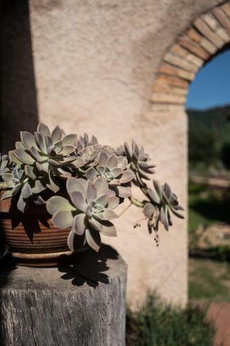 Lananai, Eco-ospitalit�