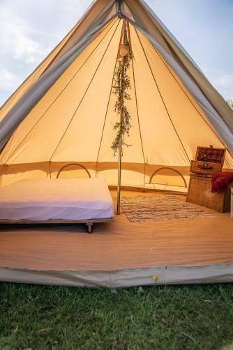 The Paddock Wildcamp