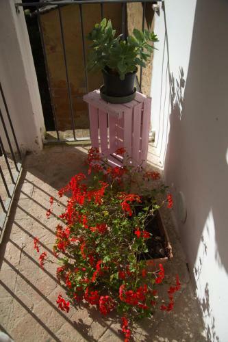 Apartamento Casa Vacanza Francesca #12
