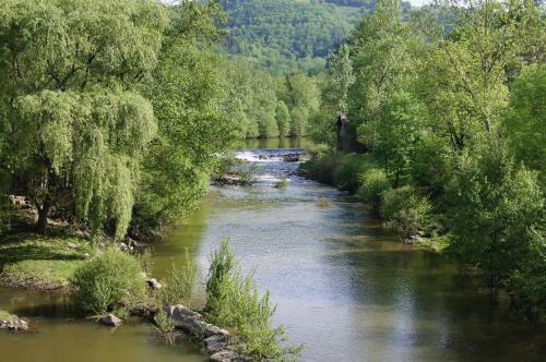 La Cardonni�