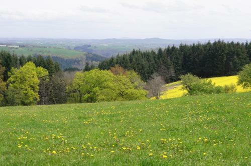 La Cardonni�