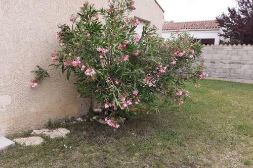 Maison Vacances D'ol�ron