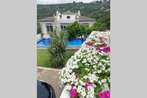 Luxury Villa With Pool