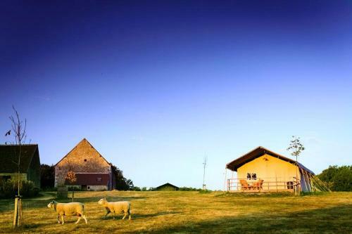 Camping Parc De La Brenne