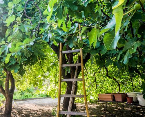 Bed & Breakfast Villa De Lorgues