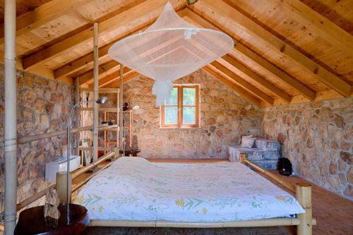 Villa Olive Grove House