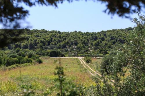 Villa Olive Grove House