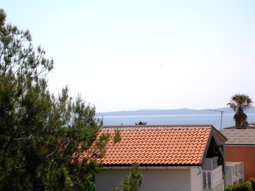 Apartment Vir