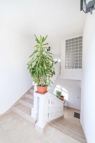 Apartman Bilac