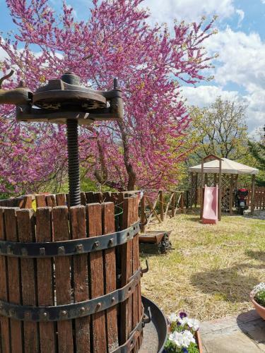 Hostal Il Casale Dei Nonni