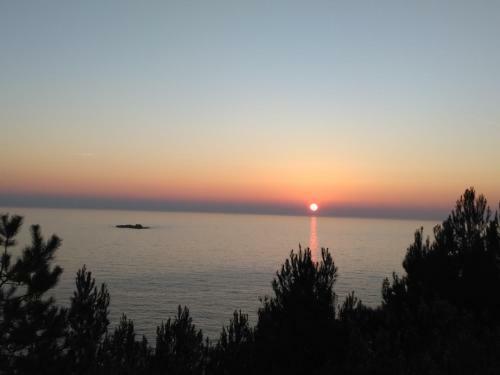 Apartamentos Sunny Side Of Adriatic