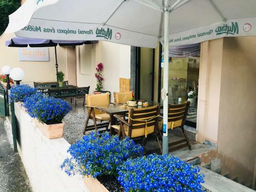 Exohi Apartments