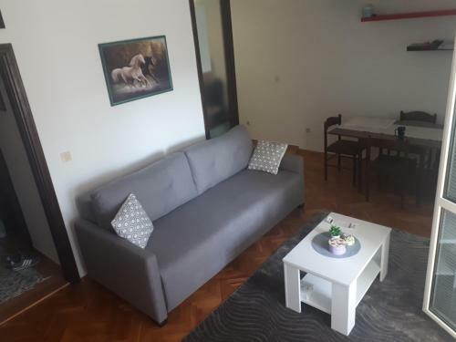 Apartment Tijana