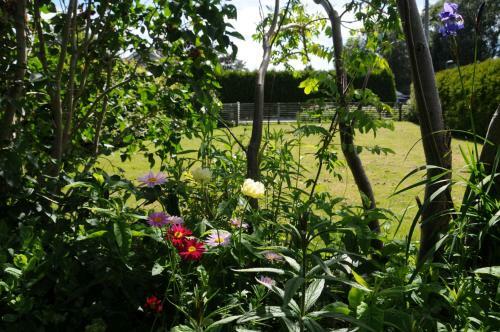 Apartamento Surfers Guesthouse