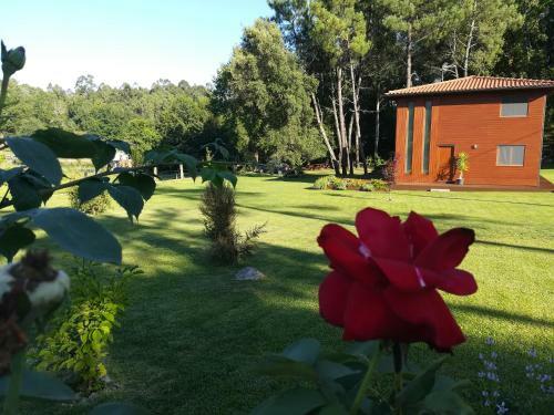 Wooden House