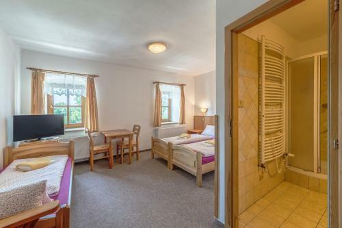 Hostal Penzion U L�py Lipno