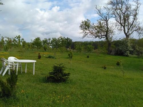 La Tente Du Commandant Nuit Insolite