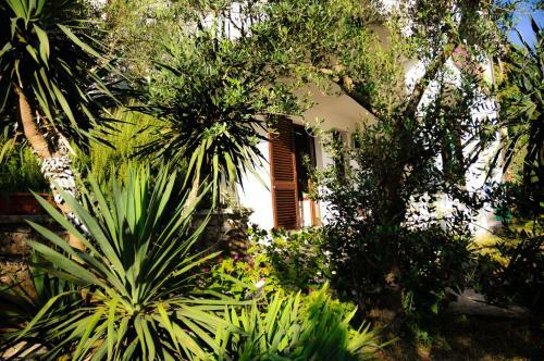 Apartments Adrialuka