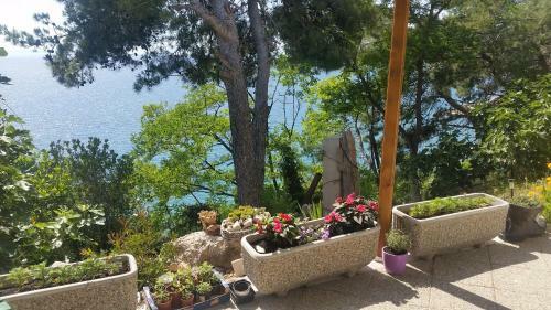 Apartments Garac