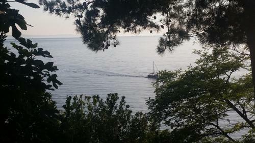 Apartments Garac