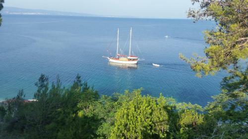 Apartments Garac
