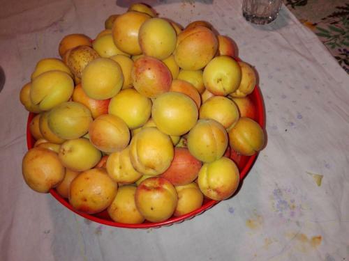Agroturismo Fattoria Di Rigone