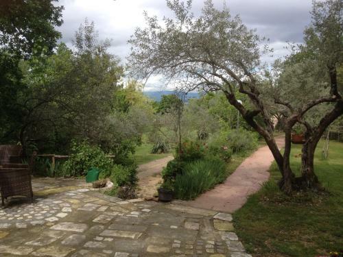 Bed & Breakfast Fattoria La Tana Della Volpe