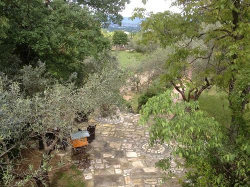 Bed & Breakfast Fattoria La Tana Della Volpe