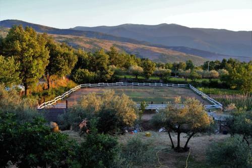 Bed & Breakfast Fattoria La Tana Della Volpe