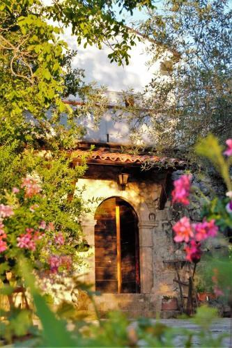 Bed & Breakfast Fattoria La Tana Della Volpe