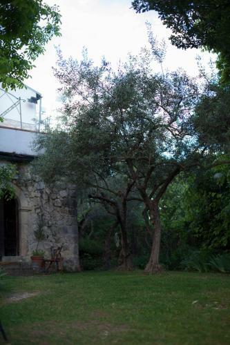 Bed & Breakfast Fattoria La Tana Della Volpe