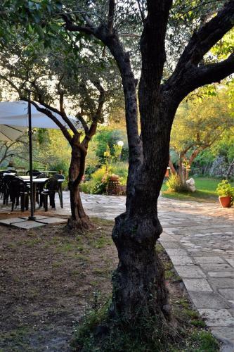 Bed & Breakfast Fattoria La Tana Della Volpe