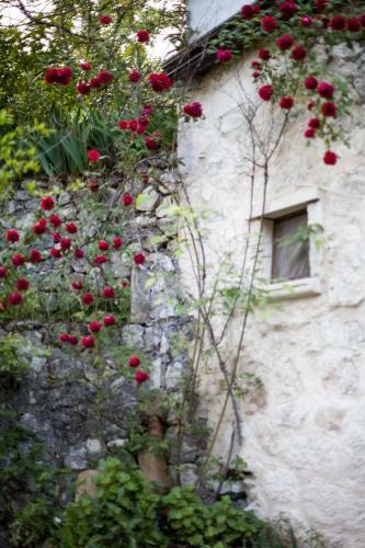 Bed & Breakfast Fattoria La Tana Della Volpe
