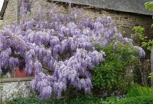 Bed & Breakfast Le Clos Des Anges