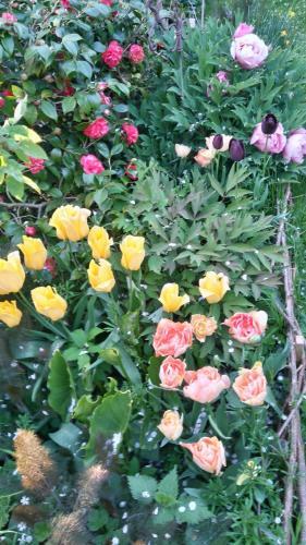 Bed & Breakfast Aux Rives De Honfleur