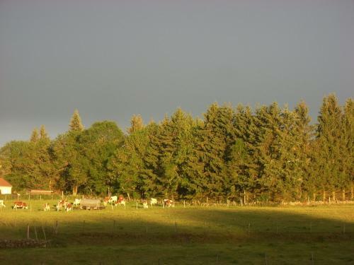 Agroturismo Les Roulottes De La Ferme Des Chanaux