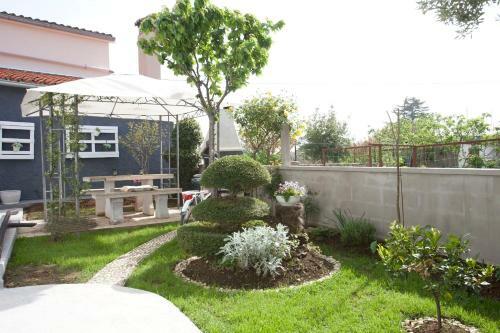 Apartment Ana